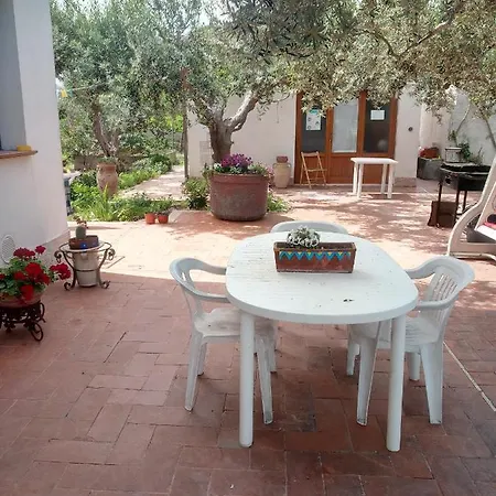 Lejlighed Dhalia Trapani